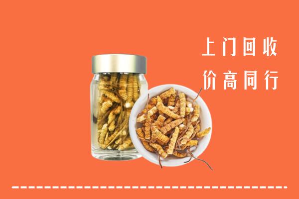 萍乡市湘东回收冬虫夏草
