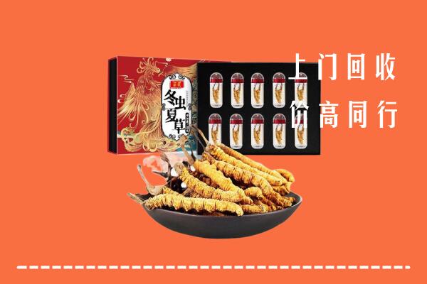 萍乡市湘东回收虫草